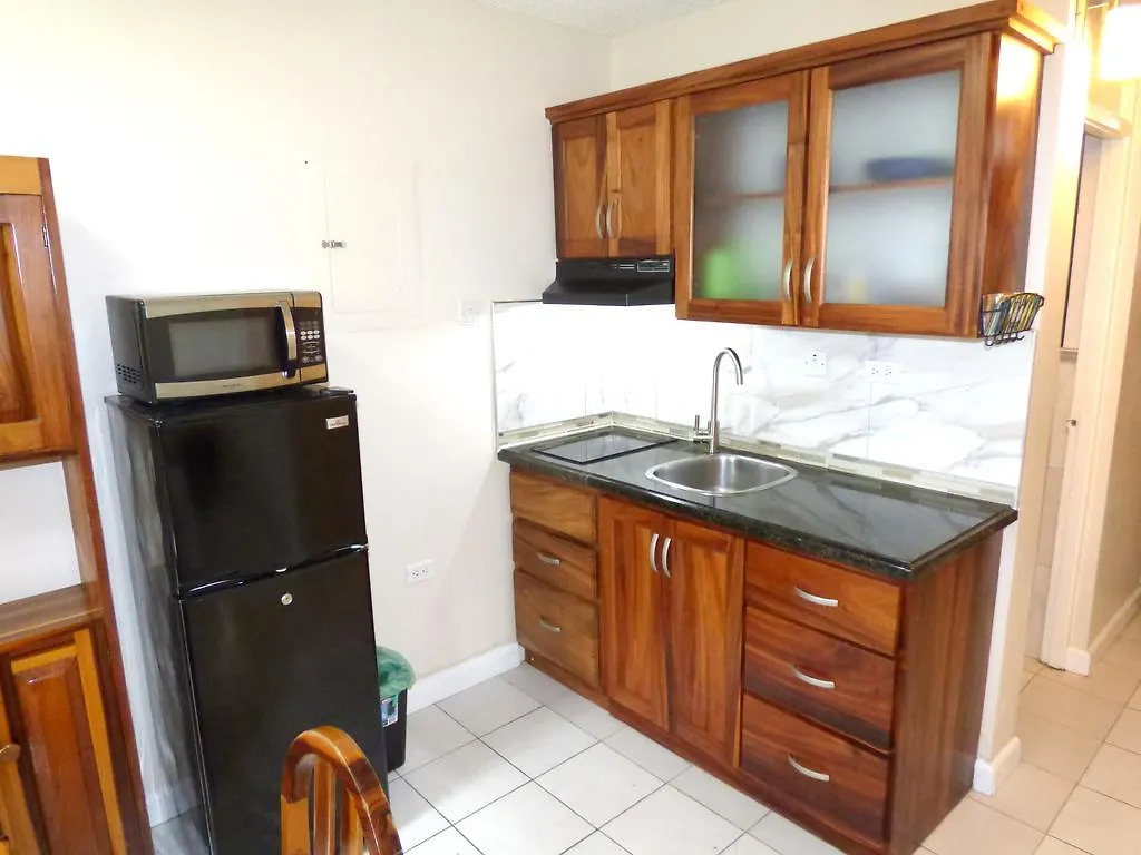 Beach Studio 6 Ocho Rios Apartman